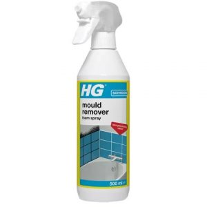 HG Mould Remover Foam Spray